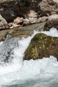 THE WATER RAIDERS dreamstime_m_107489377